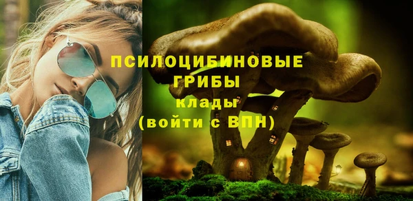 a pvp Алексеевка