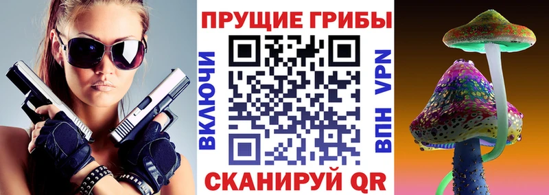 Галлюциногенные грибы GOLDEN TEACHER это Telegram Берёзовка наркошоп