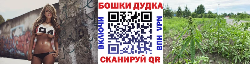 Бошки марихуана MAZAR  MEGA маркетплейс  Берёзовка 